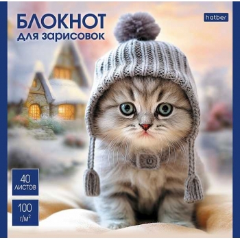Скетчбук-блокнот 165*165 40л. на скобе Hatber Котики-артисты, 100г/м2, мат. ламинация, ассорти арт.40Б5лA/087479