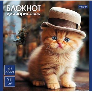 Скетчбук-блокнот 165*165 40л. на скобе Hatber Котики-артисты, 100г/м2, мат. ламинация, ассорти арт.40Б5лA/087479