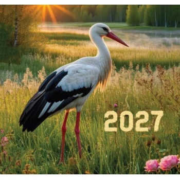 Календарь настенный МИНИ на 2027г.Аист 9х16,5см на 1пружине(на магните) арт.26С143_Аист