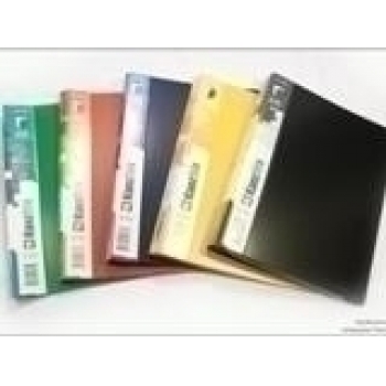 Папка  А4 с 20 вкл. ПЛОТНАЯ красная арт.05М-20K