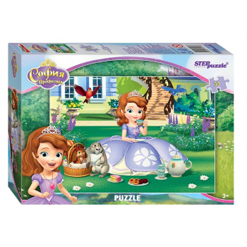 Pazl 104 El Disney Alladin 230h330 5 Art 82183 663779742