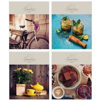 Тетрадь 96л в клетку ArtSpace Стиль. Passion арт.Т96к_7848