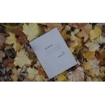 Папка-скоросшиватель А4 ДЕЛО картон. 0,6мм, 420 г/м2, 3см корешок, серая арт.ПС06