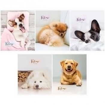 Тетрадь 96л в клетку ArtSpace Питомцы. The pets, ВД-лак арт.Т96к_26723