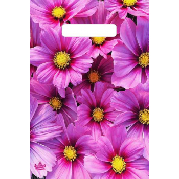 Пакет 30х20см ПВД 30мкм с вырубной неукрепленной ручкой, Яркие хризантемы арт.н00178383