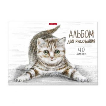 Альбом для рисов. А4 40л. Tabby, клеевое скрепление арт.49844