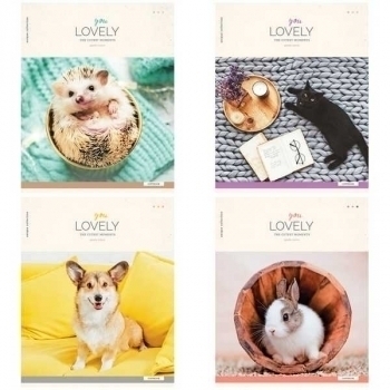 Тетрадь 96л в клетку ArtSpace Питомцы. You lovely арт.Т96к_29836