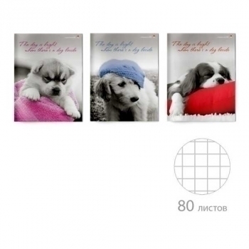 Тетрадь А4 80л в клетку Альт ЩЕНКИ.КОНТРАСТЫ NEW, ассорти 3 вида арт.7-80-517