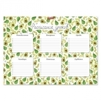 Расписание уроков A3 ErichKrause Яркие дольки арт.53171