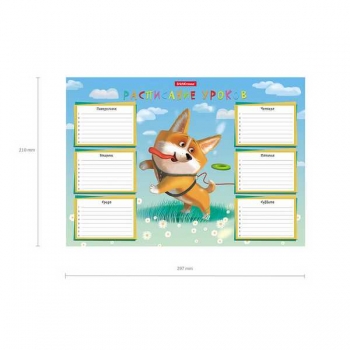 Расписание уроков А4 ErichKrause Корги арт.53168