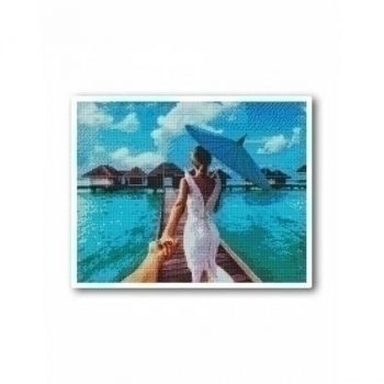 Алмазная мозаика 40*50см Следуй за мной арт.VD243