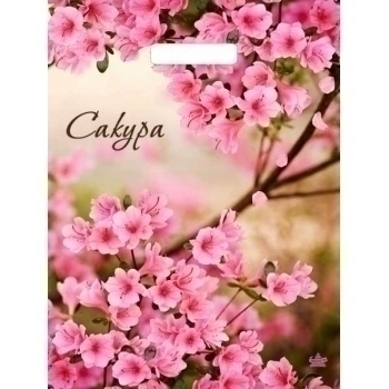 Мешок 40х31см ПВД 60мкм ламинированный с вырубной ручкой, Яркая сакура арт.н00229392