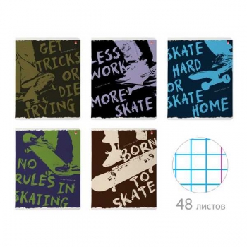 Тетрадь 48л в клетку Альт СКЕЙТ-ПАРК, ассорти 5 видов арт.7-48-1238