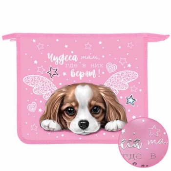 Папка д/тетр. А5 на молнии, пластик, 240х205х40 мм арт. ПТ-73-12 Чудесная собачка