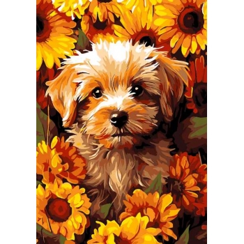 Набор для рисования по номерам, картина 20х28,5 см Пушистый друг (основа на карт, краски, кисть) арт.Кпн-276 Набор для рисования по номерам, картина 20х28,5 см Пушистый друг (основа на карт, краски, кисть) арт.Кпн-276