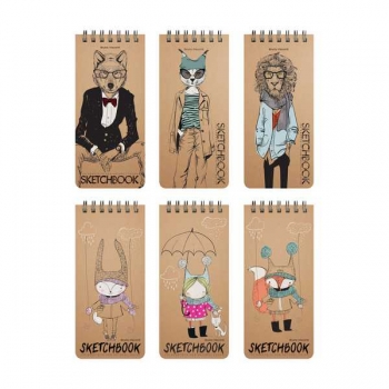 Скетчбук-блокнот 105*220мм,120л. на гребне  Bruno Visconti SKETCHBOOK, 70г/м2, крафт, 6 видов арт.1-553/02