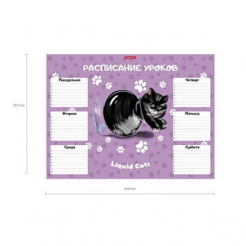 Расписание уроков A3 ErichKrause Жидкие коты арт.58299