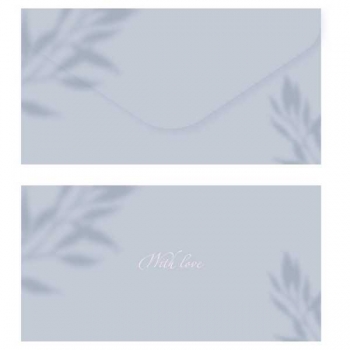 Конверт для денег 85*164мм MESHU Agate, soft-touch, фольга арт.MS_55123