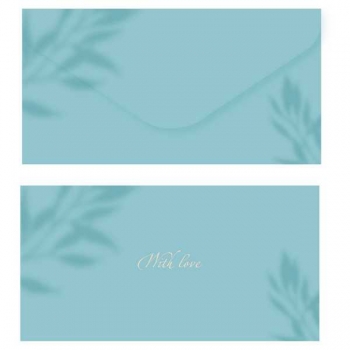 Конверт для денег 85*164мм MESHU Aquamarine, soft-touch, фольга арт.MS_55121