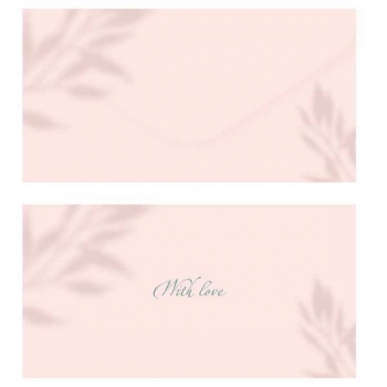 Конверт для денег 85*164мм MESHU Peach, soft-touch, фольга арт.MS_55120