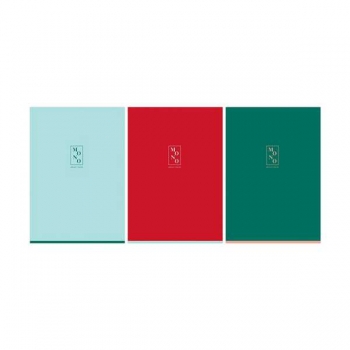 Тетрадь А4 96л в клетку BG Monocolor. Mono, матовая ламинация арт.Т4ск96_лм 11212