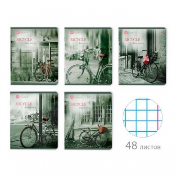 Тетрадь 48л в клетку Альт НАСТРОЕНИЕ. УТРЕННИЙ ГОРОД, ассорти 5 видов арт.7-48-219