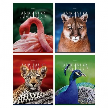 Тетрадь 96л в клетку BG Животные, глянцевая ламинация арт.Т5ск96_лг 12081