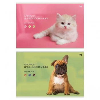 Альбом для рисов. А4 20л. на скрепке BG Собачка и котик арт.АР4ск20 59521