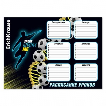 Расписание уроков A3 ErichKrause Sport DNA арт.61938