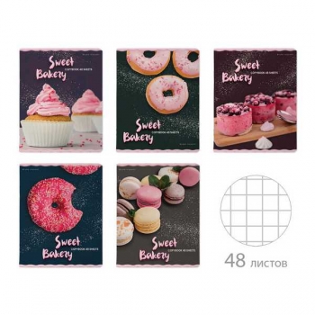 Тетрадь 48л в клетку Bruno Visconti ДОНАТ РУЛИТ!, ассорти 5 видов арт.7-48-1227