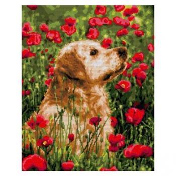 Алмазная мозаика LORI 40*50см Лабрадор в цветах (полное заполнение, без деревянного подрамника) арт.Ам-118