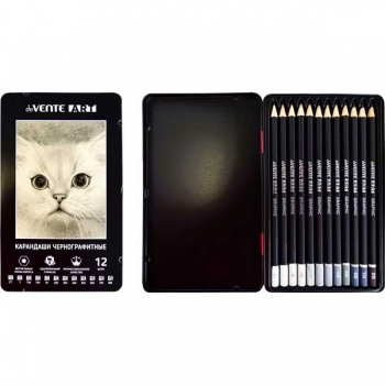 Карандаши набор 12 шт deVENTE Art 8M-2Т шестигр., заточ, в металлич. кор. арт. 5030404