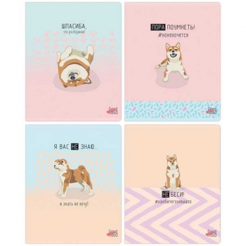 Тетрадь 48л в линейку BG Пора поумнеть, матовая ламинация арт.Т5ск48_лм 10013