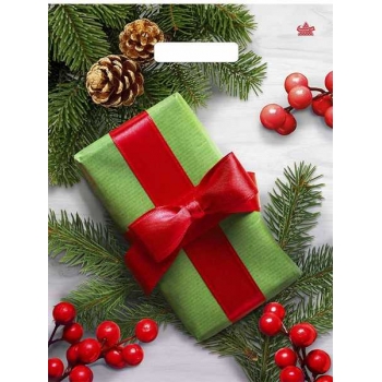 Мешок  новогодний 40х31см ПВД 60мкм ламинированный с вырубной ручкой, Калина в подарок арт.н00267775