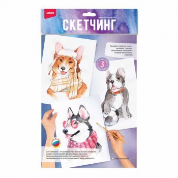 Набор для детского творчества - Скетчинг акварелью Собаки на прогулке (3 основы 20*30см с нанесенным конт.) арт.Рн-041