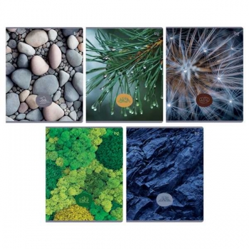 Тетрадь 48л в клетку BG ЭКОНОМ Детали природы арт.Т5ск48 62707