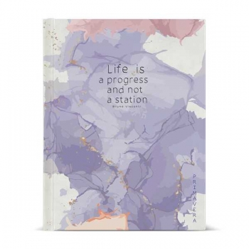 Тетрадь А5 80л на кольцах Bruno Visconti PRIMAVERA,  со сменным блоком арт.7-80-081/38