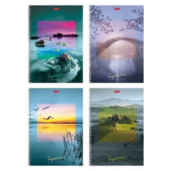 Тетрадь А4 80л в клетку на спирали Hatber Impressions, многоур. перфорация арт.80Т4вмВ1гр/047077