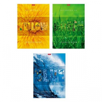 Тетрадь А4 96л в клетку Hatber Гармония цвета, выб.лак арт.96Т4вмВ1/082986