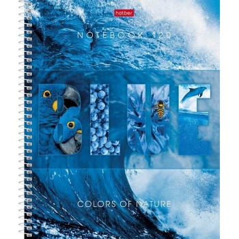 Тетрадь А5 120л в клетку на спирали Hatber Гармония цвета твердая ламинир. обл., перф-я на отрыв арт.120Тт5В1сп_29023