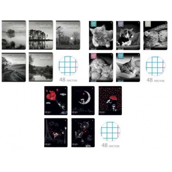 Тетради 48л в клетку НАБОР 3шт. Альт ПРИРОДА МОНОХРОМ,КОТЯТА МУР-МУР,РОМАНТИКА.BLACK  арт.7-48-338-611-1312