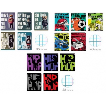 Тетради 48л в клетку НАБОР 3шт. Альт AI CAT, HIP-HOP, ХОББИМАНИЯ.ИГРЫ  арт.7-48-1330-580-1149