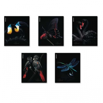 Тетрадь 48л в клетку ErichKrause Attention, матовая ламинация+выборочный УФ-лак арт.63319