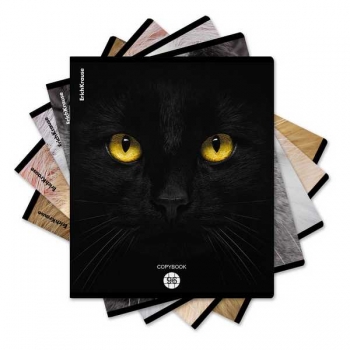 Тетрадь 96л в клетку ErichKrause Cats, матовая ламинация арт.58406