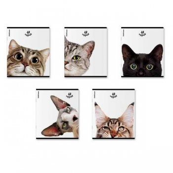 Тетрадь 48л в клетку ErichKrause Котики, матовая ламинация+выборочный УФ-лак арт.60607