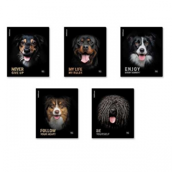 Тетрадь 96л в клетку ErichKrause Собаки, матовая ламинация арт.59977