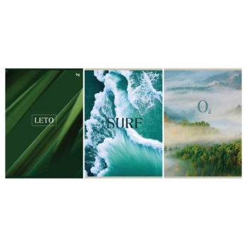 Тетрадь А4 48л в клетку BG Лето, эконом арт.Т4ск48 60320