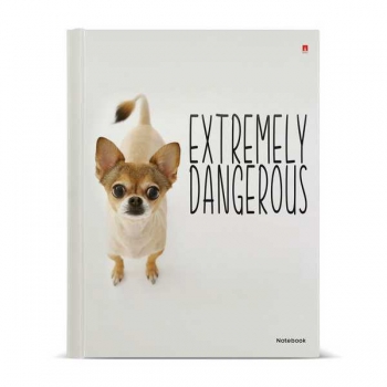 Тетрадь А5 80л на кольцах Альт ОСОБО ОПАСНЫЕ СОБАЧКИ, 7БЦ со сменным блоком арт.7-80-081/41