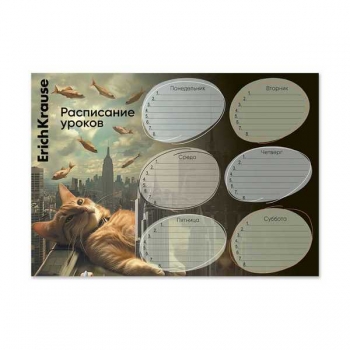 Расписание уроков А4 ErichKrause Вig City Cats арт.63480