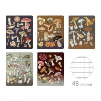Тетрадь 48л в клетку Альт ГРИБНАЯ ФЕЕРИЯ, ассорти 5 видов арт.7-48-1325